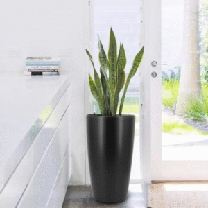 Maceta modelo CONNECTICUT – Acabado Negro – Liventra